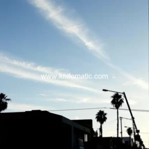 Read more about the article Santa monica robbery preceding notorious knife attack: police unravel suspect’s