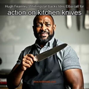 Read more about the article Hugh Fearnley  Whittingstall backs Idris Elba call for action on kitchen knives